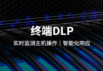 天锐终端数据泄漏防护系统